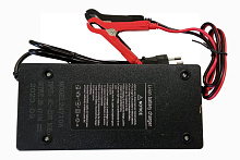 Зарядное устройство для АКБ LiFePO4, 24V, 10A, с "крокодилами"